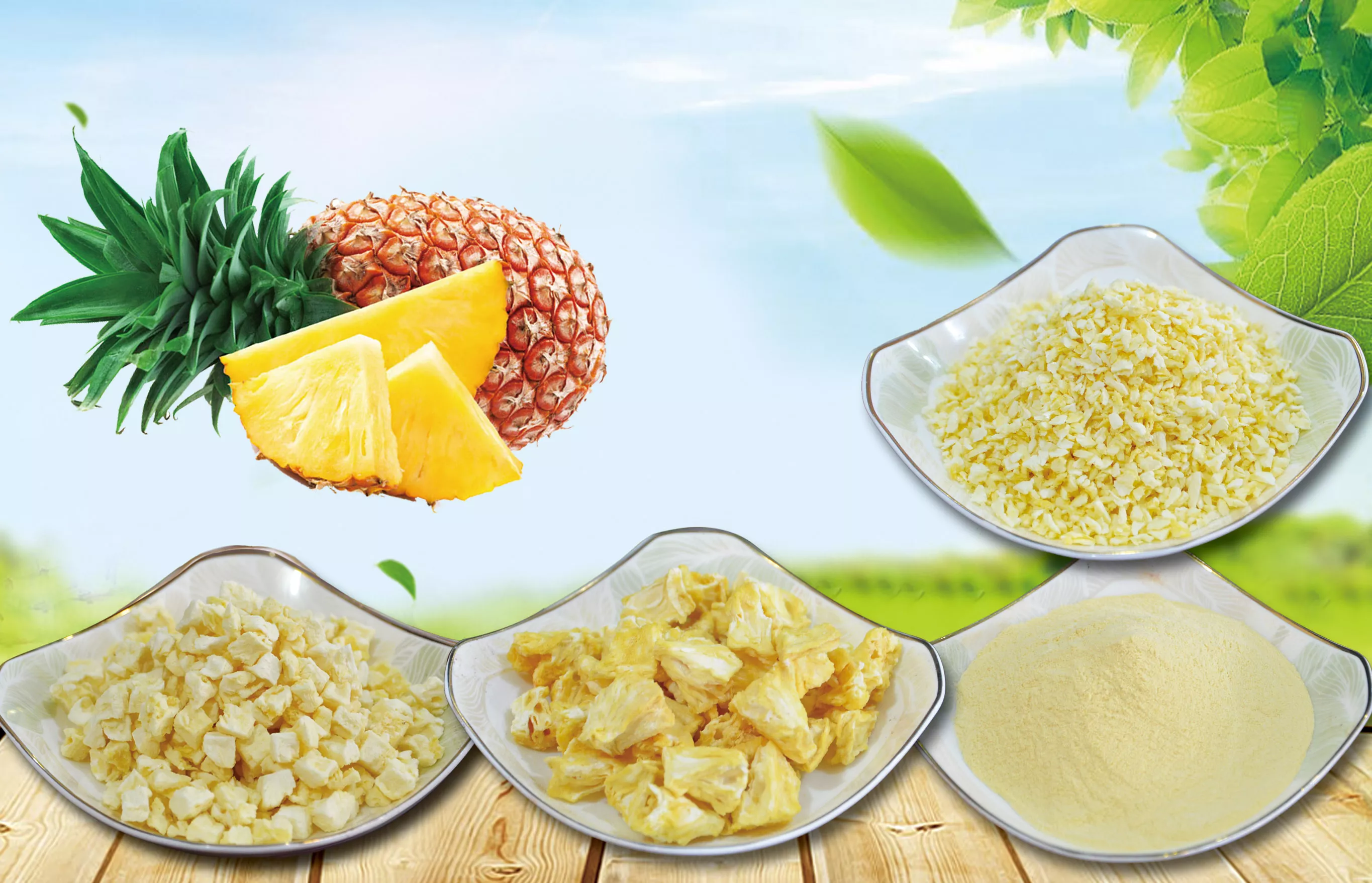 冻干菠萝产品系列Freeze dried pineapple product line
