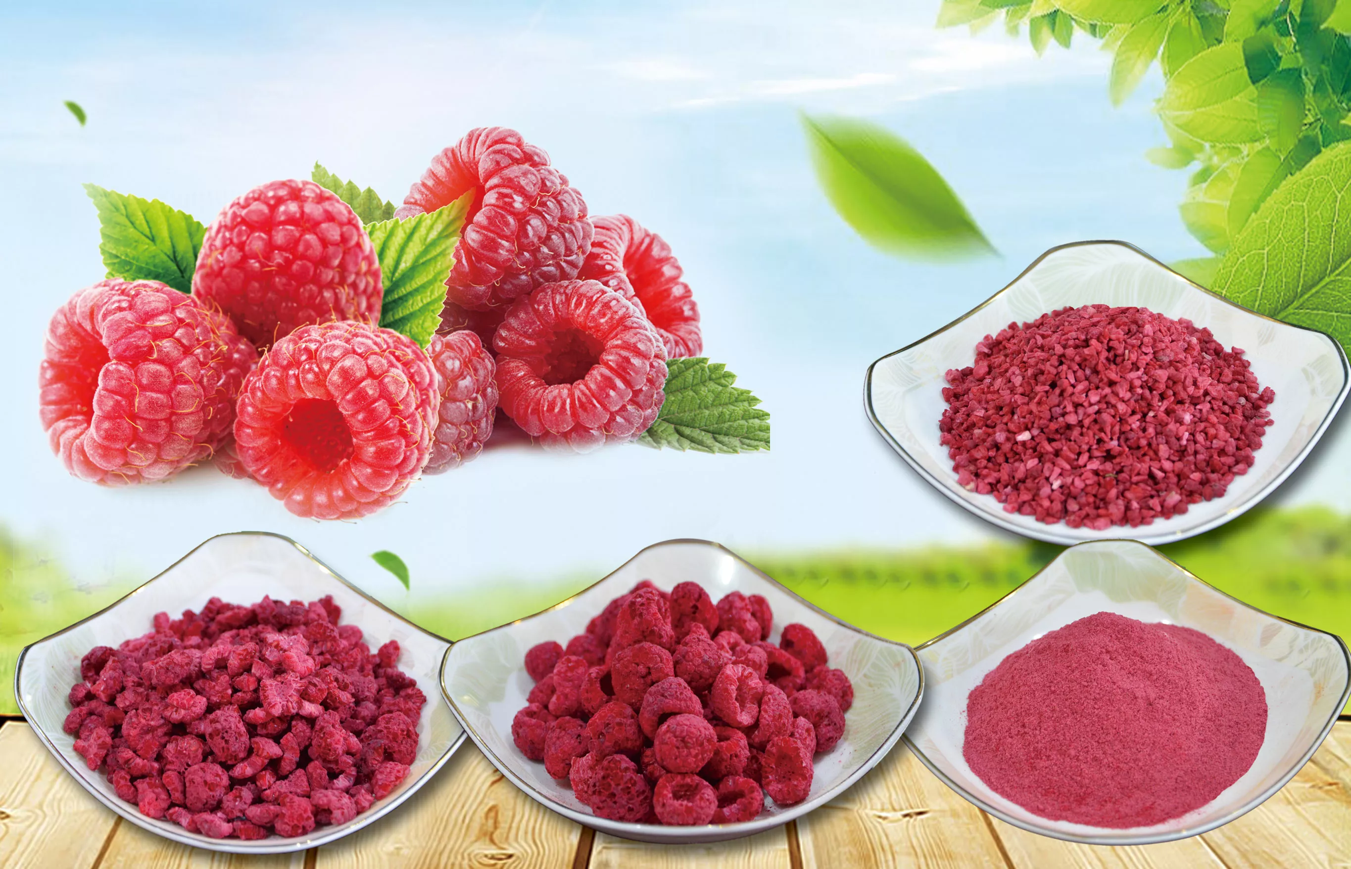 冻干树莓产品系列Freeze-dried raspberry product series - 尚好科技